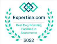 Best Dog Boarding Sacramento