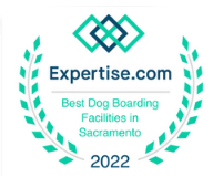 Best Dog Boarding Sacramento
